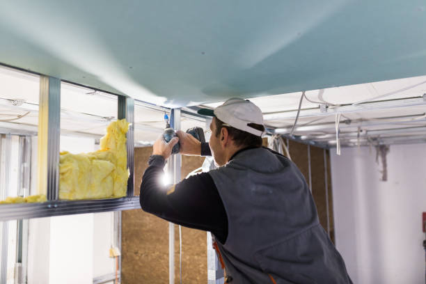 Best Types of Insulation in Olivette, MO