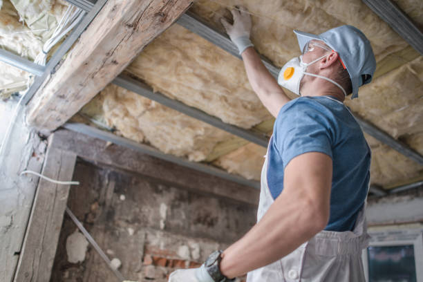 Best Commercial Insulation in Olivette, MO