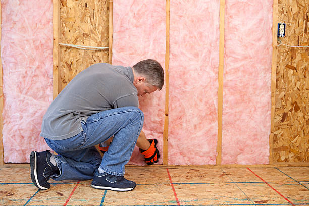 Best Insulation Installation Services in Olivette, MO